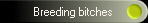 Breeding bitches